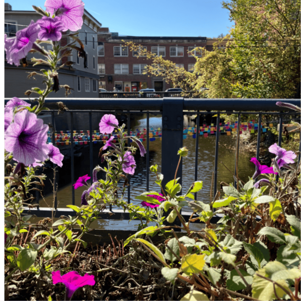 Flower box on the Langdon St. Bridge