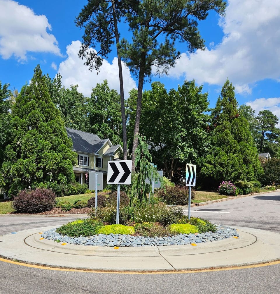 neighborhood traffic circle