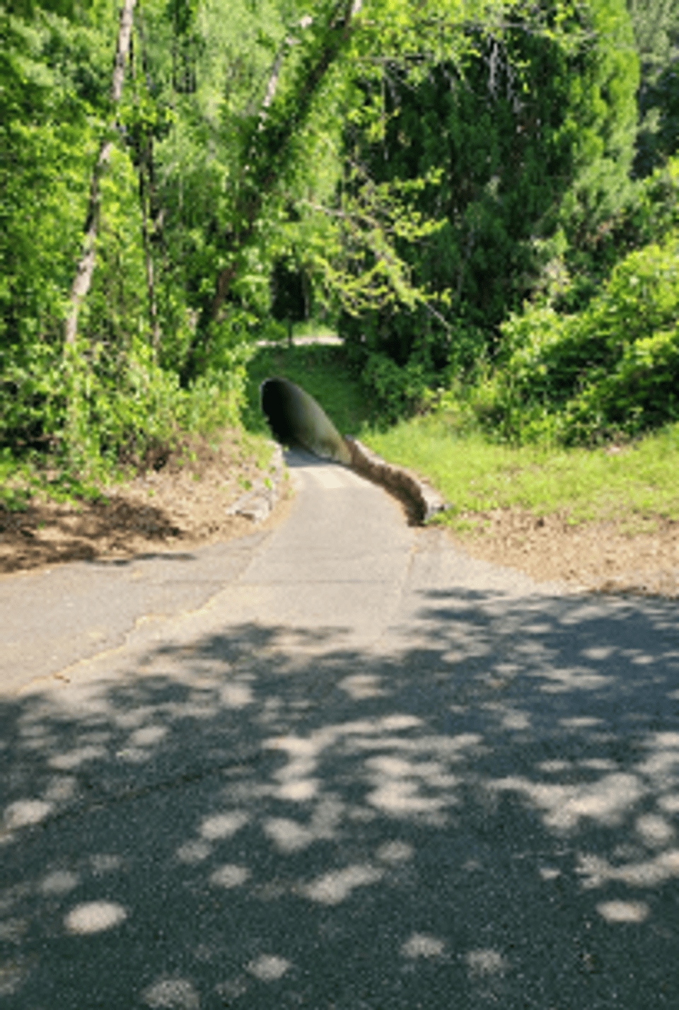 Corrugated Metal Path Tunnels