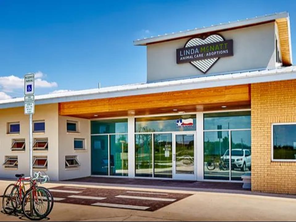 Photo of existing entry of the animal shelter. Handicap parking sign with two bikes leaned against it.