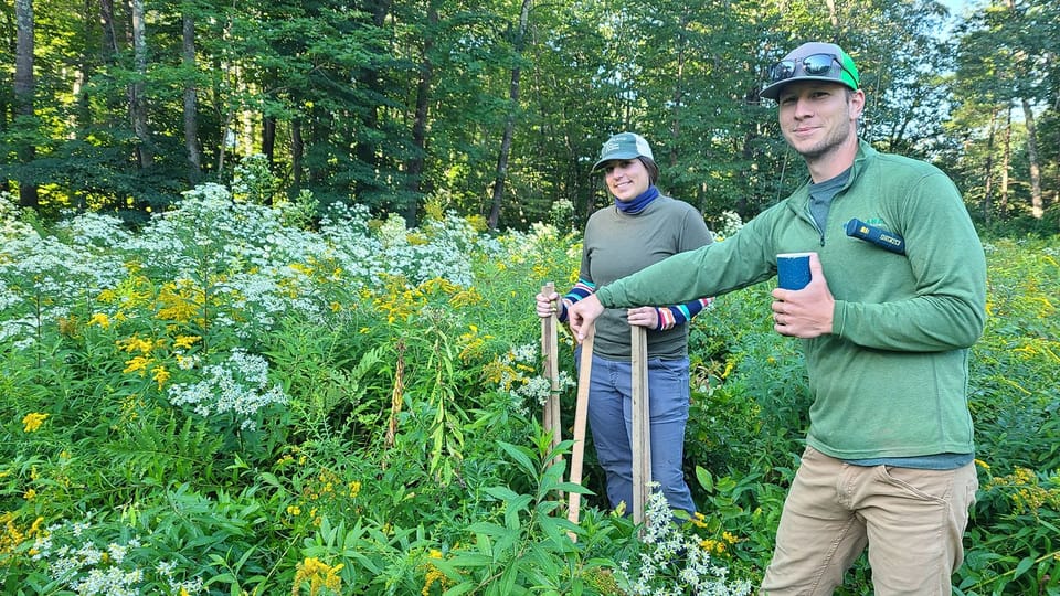 City horticulture staff surveying plant species in the park's wildflower meadow.
