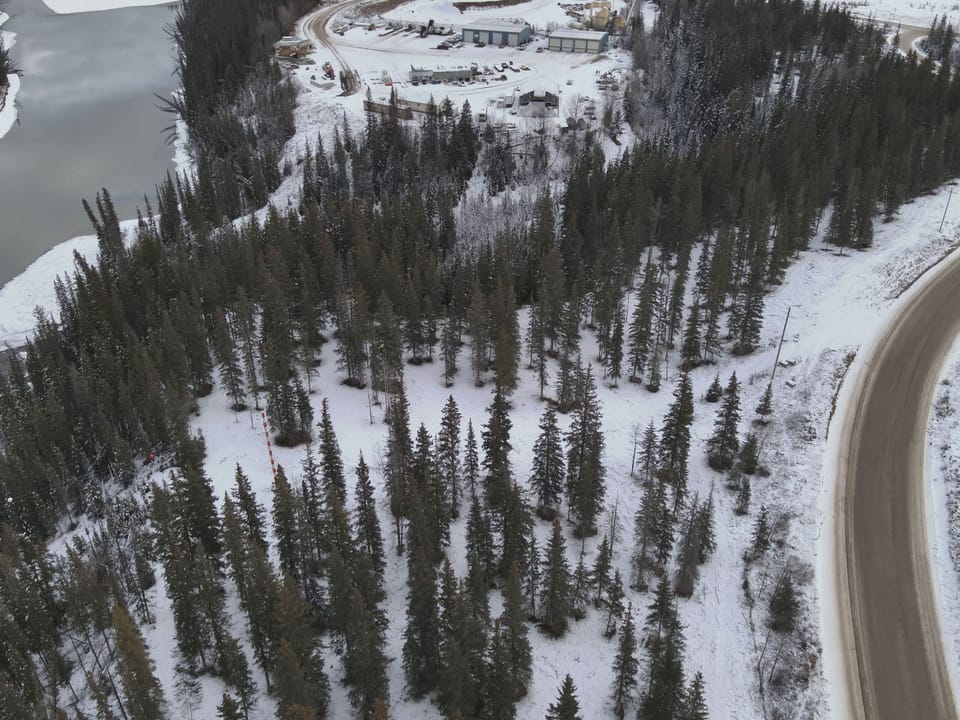 FireSmart work on Willow Creek Road