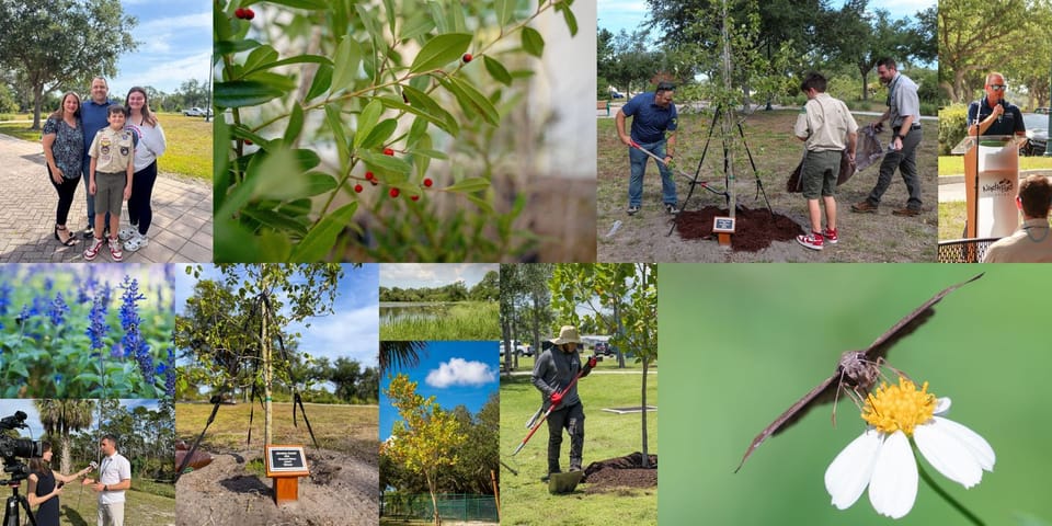 Greenest Citizen, Natural Resources, Development Services, North Port, Environment, Award, Trees