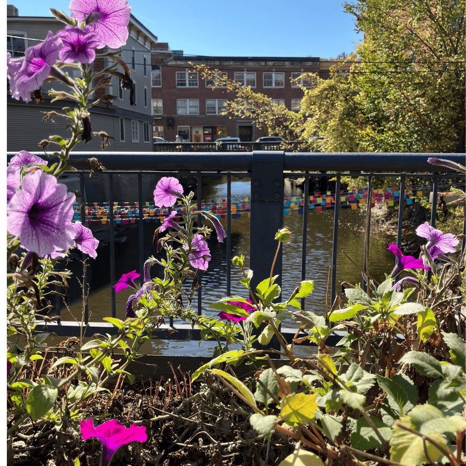 Flower box on the Langdon St. Bridge