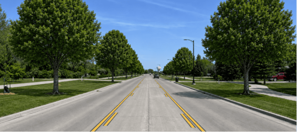 Boulevard Tree Plantings Concept