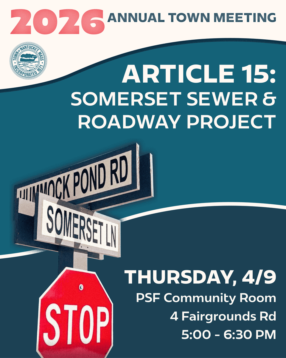 Article 15 info session