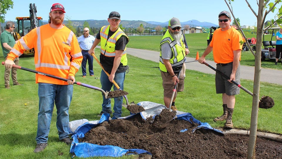 4 staff members planting tree