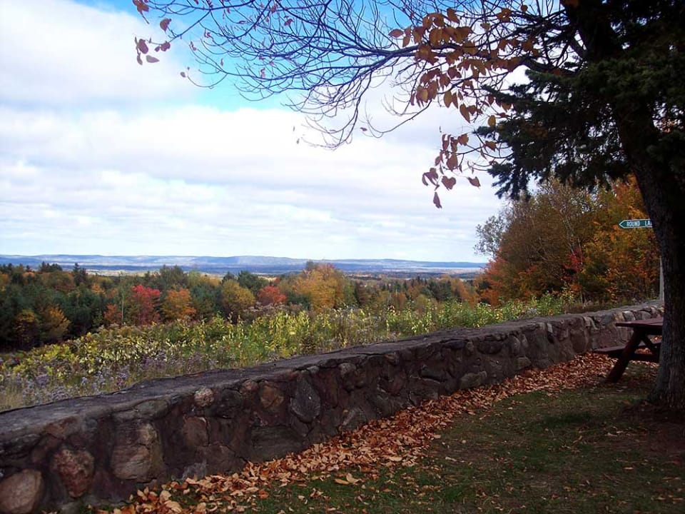 Stone fence in the Wilno area