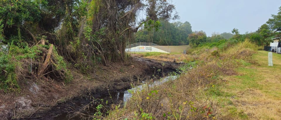Vegetative debris removal