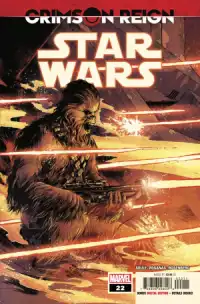 Star Wars #22