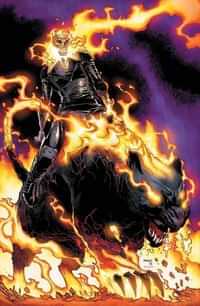 Infinity Wars Ghost Panther #1