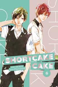Shortcake Cake GN V6