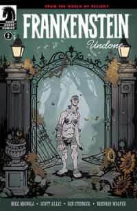 Frankenstein Undone #2 CVR B D Armini