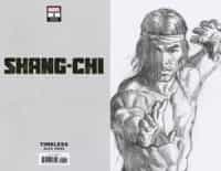 Shang-chi #2 Variant 100 Copy Ross Shang-chi Timeless Virgin Sketch