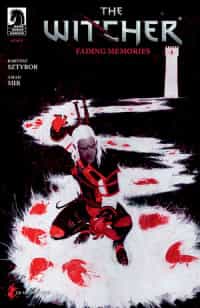 Witcher Fading Memories #2 CVR B Wilson