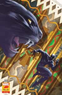 Black Panther #25 Variant Coello Stormbreakers