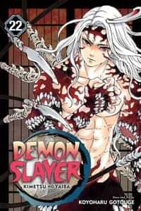 Demon Slayer Kimetsu No Yaiba GN V22