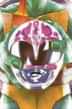 Power Rangers Teenage Mutant Ninja Turtles #4 CVR C Mike Montes (c
