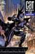 Catwoman 80th Anniversary 100 Page Super Spectacular CVR H 2000s Jim Lee Va